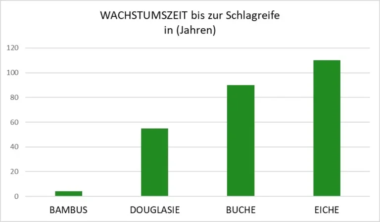 Wachstumszeit bis zur Schlagreife in Jahren