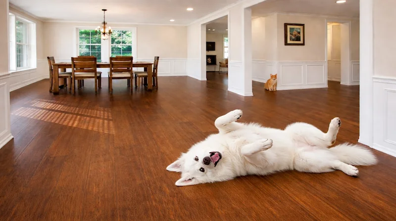 Bambusparkett-im-Ganzen-Haus