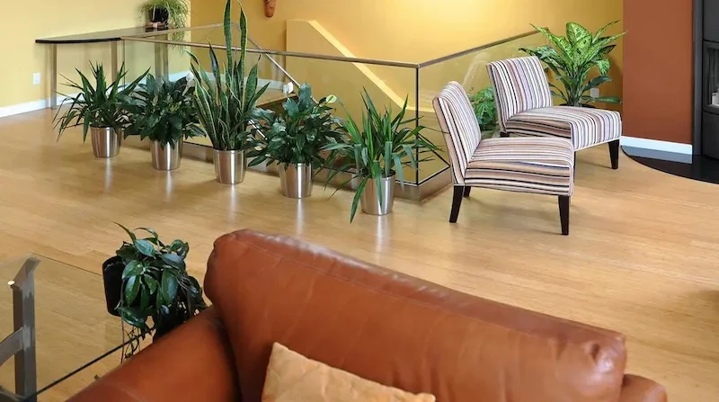 Parkett aus Faserbambus